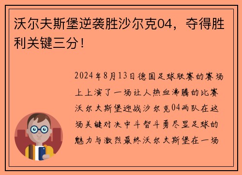 沃尔夫斯堡逆袭胜沙尔克04，夺得胜利关键三分！